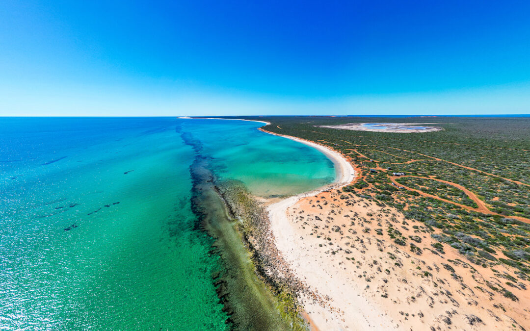 Shark Bay