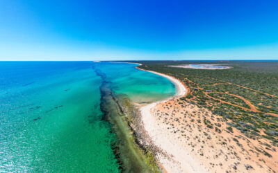 Shark Bay